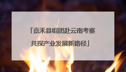 嘉禾县组团赴云南考察 共探产业发展新路径